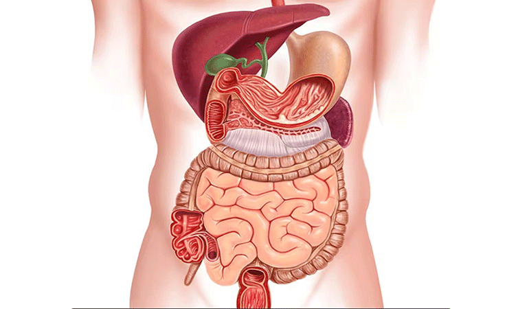 Dr. Shankar Bhanushali, the best doctor for Intestinal Diseases Treatment in Ulwe, Navi Mumbai offering superior care and solutions for Intestinal health concerns.